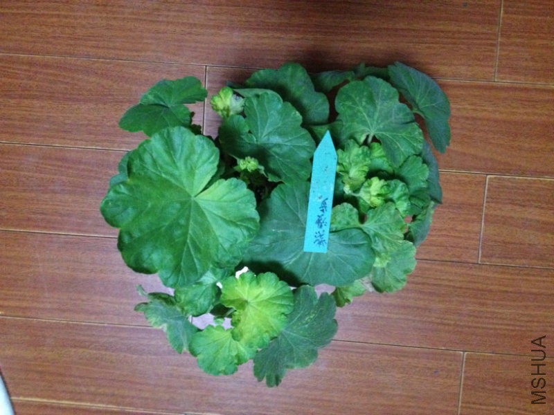3�