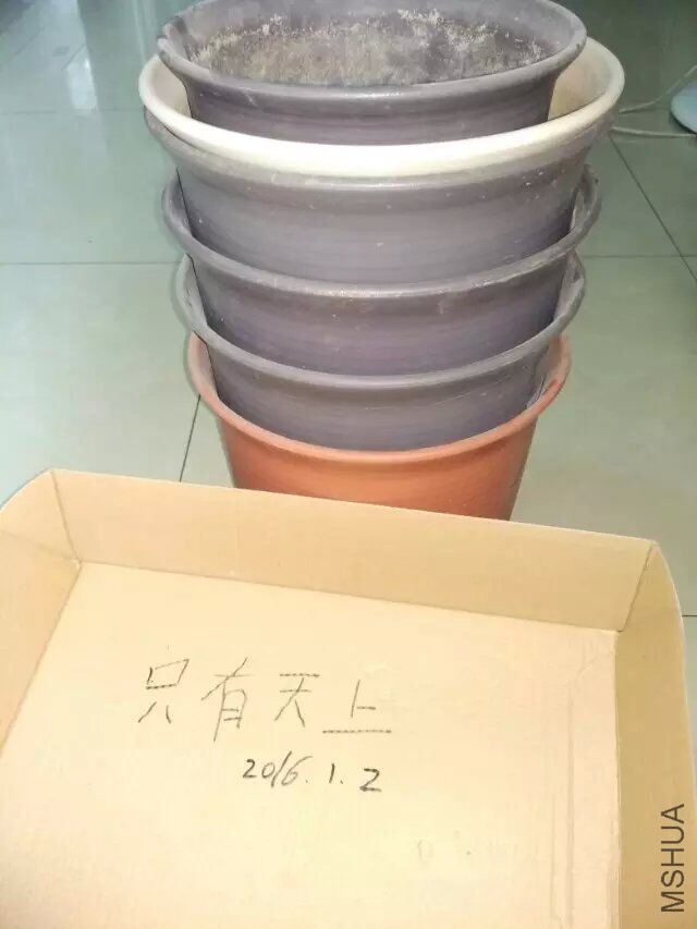 QQͼƬ20160102122841.jpg