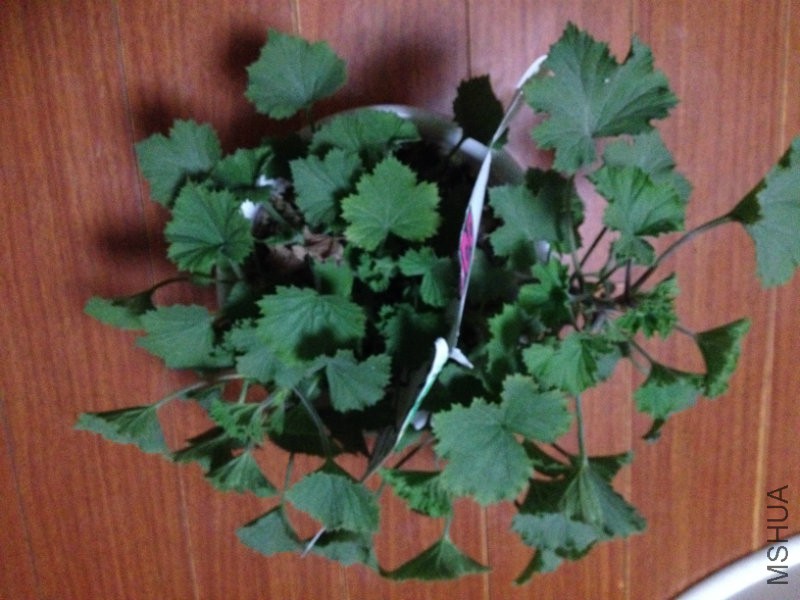 其中�