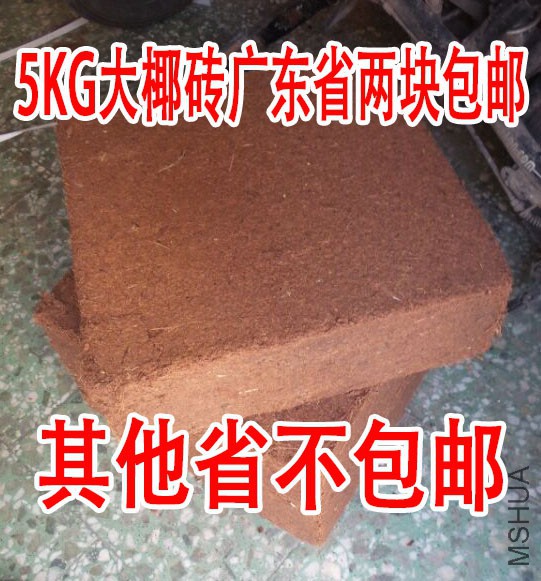 001.jpg