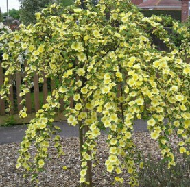 �ƴ�õ ����.jpg