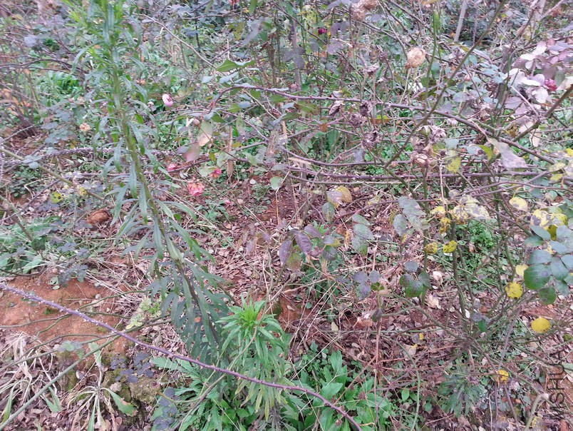 20160102_083020.jpg