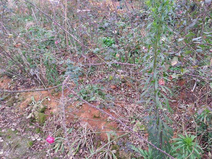 20160102_083029.jpg