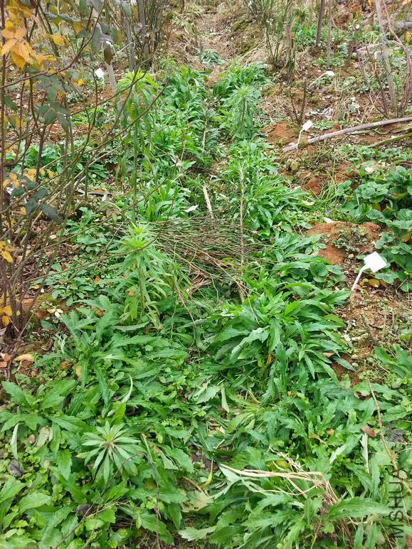 20160102_123036.jpg