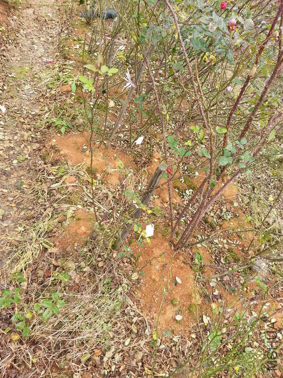 20160102_123052.jpg