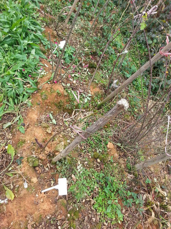 20160102_123748.jpg