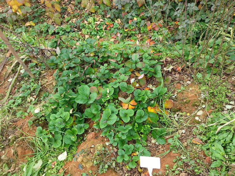20160102_123809.jpg