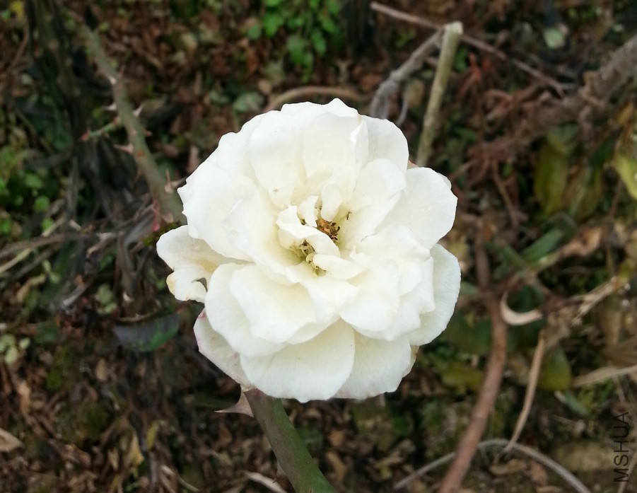 20160102_124027.jpg