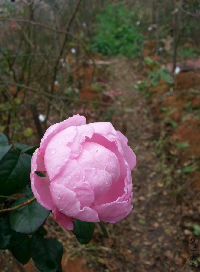 20160102_124103.jpg