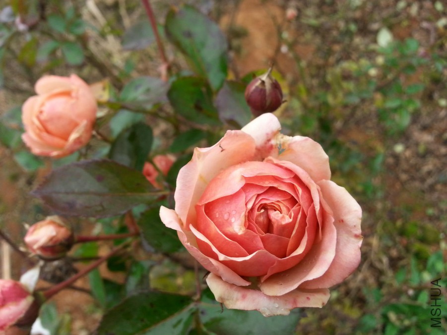 20160102_124150.jpg