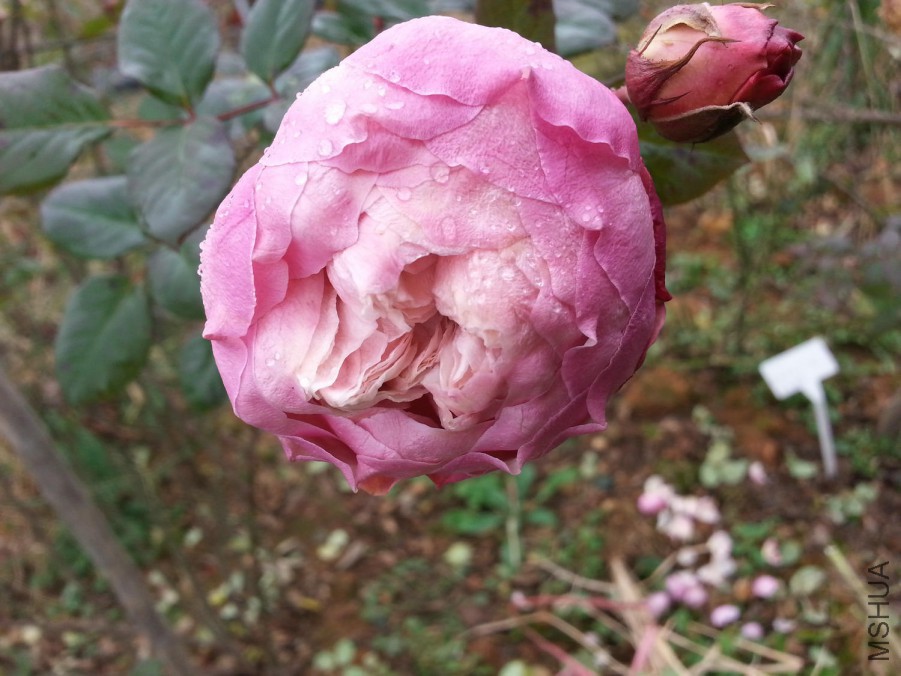 20160102_124218.jpg