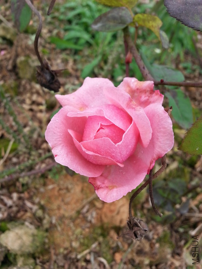20160102_124313.jpg