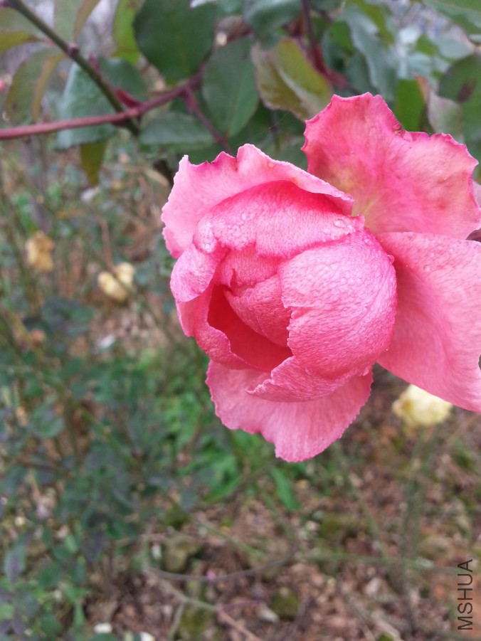 20160102_124340.jpg
