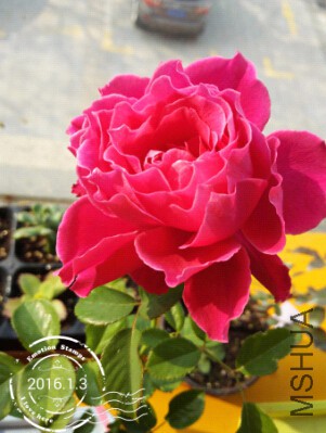 QQ��ͼ20160103135100.jpg