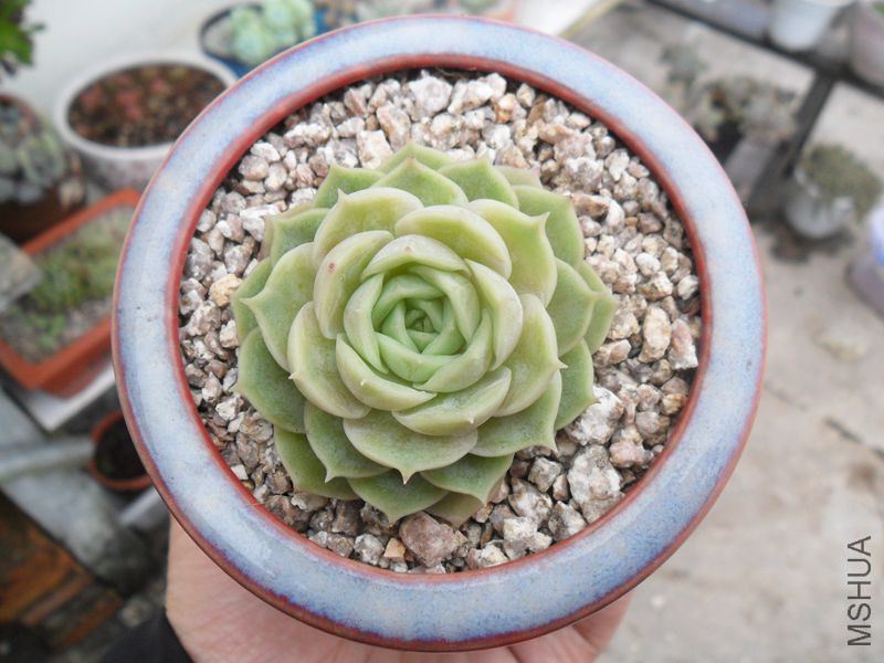 SAM_1343_����.jpg