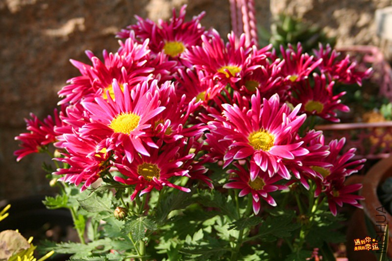 ��Ƭ 036_����.jpg