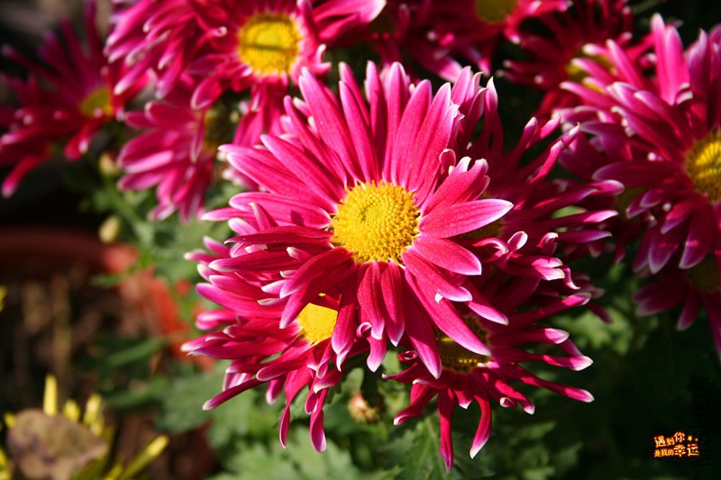 ��Ƭ 040_����.jpg