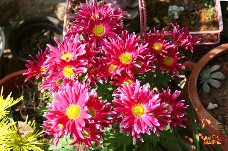 ��Ƭ 039_����.jpg