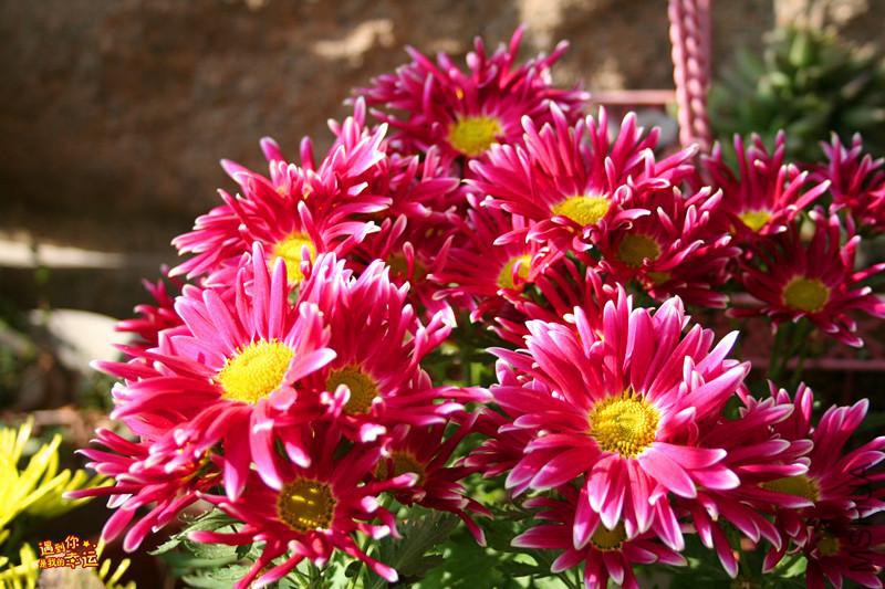 ��Ƭ 043_����.jpg