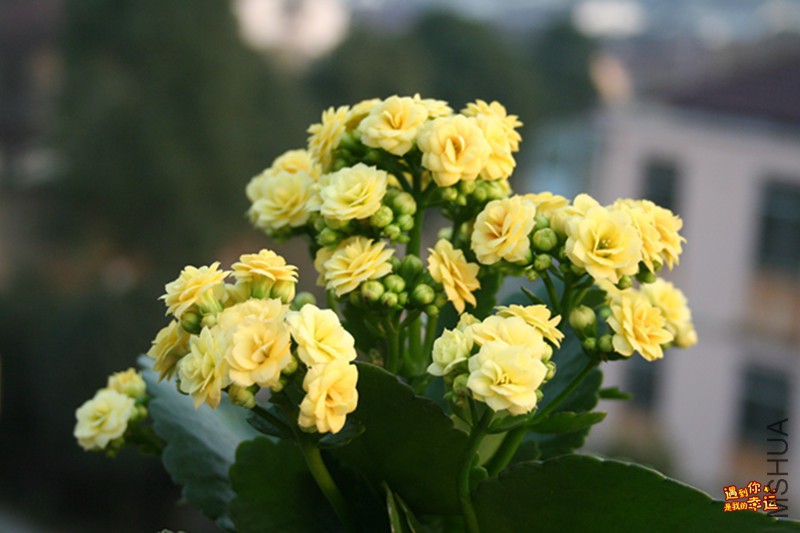 ��Ƭ 002_����.jpg