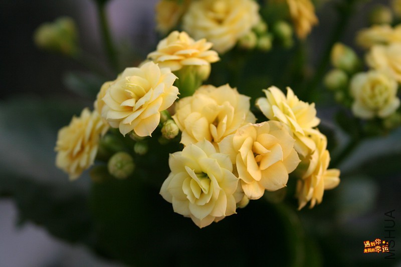 ��Ƭ 003_����.jpg