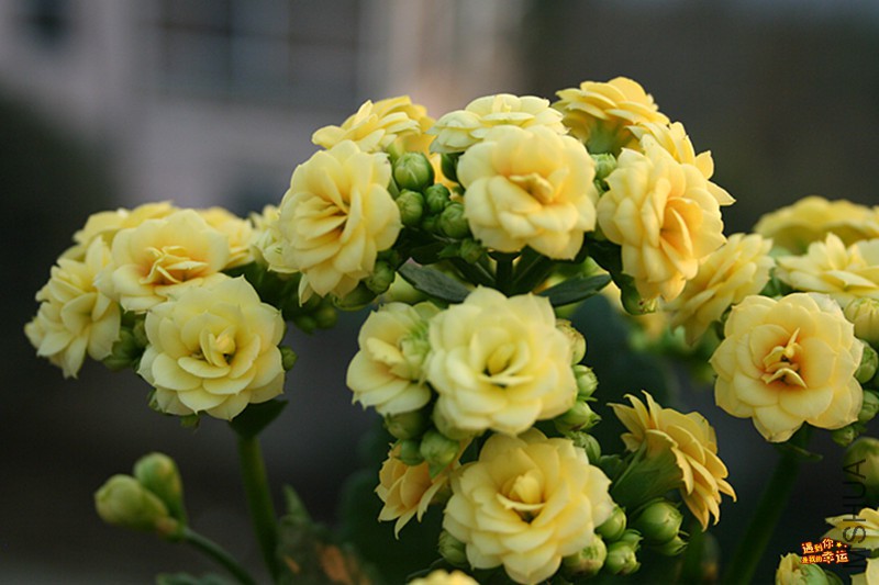 ��Ƭ 006_����.jpg