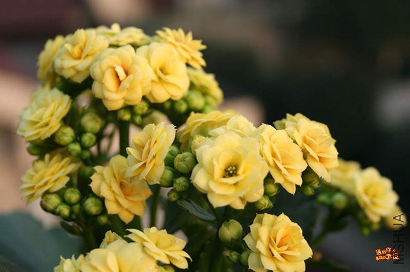 ��Ƭ 008_����.jpg