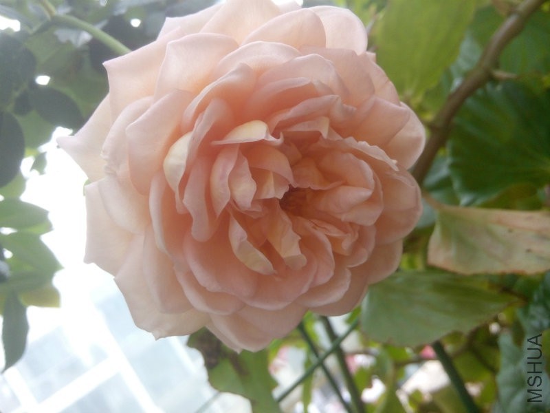 �Ҽҵ��ǲ����㿴�Ƿ�һ��