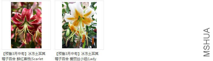 lily������ñ��.jpg