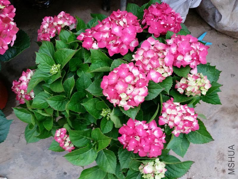 20160102_160247.jpg