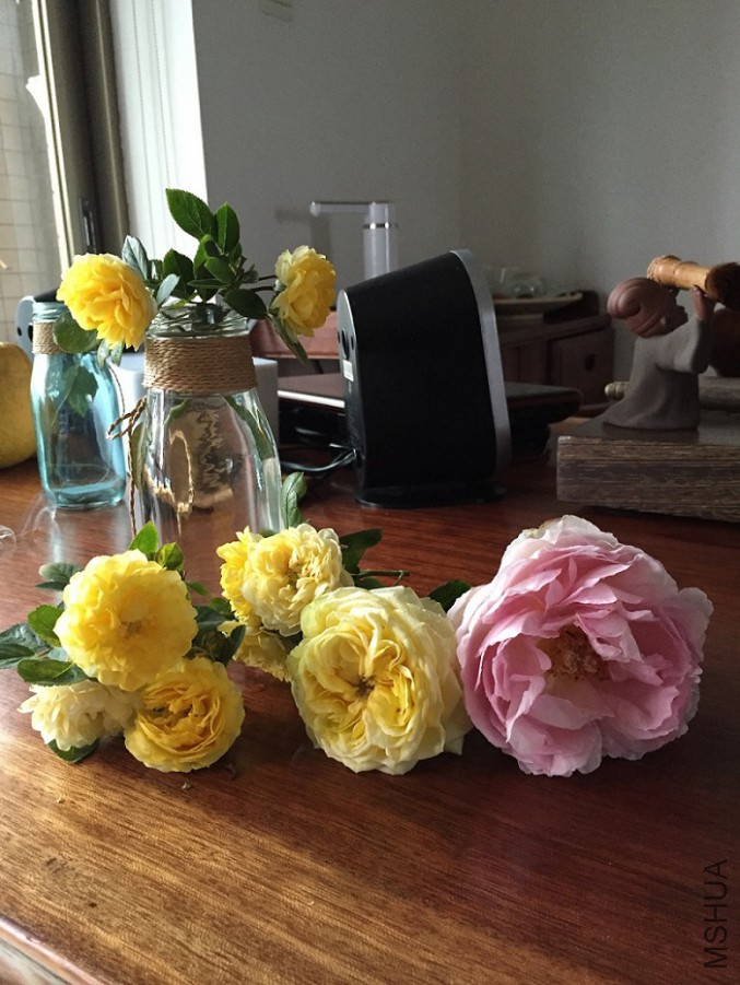 2016-01-03 161813.jpg