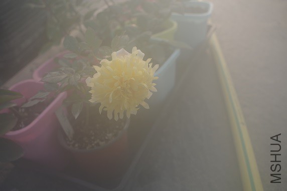 IMGP3629.JPG