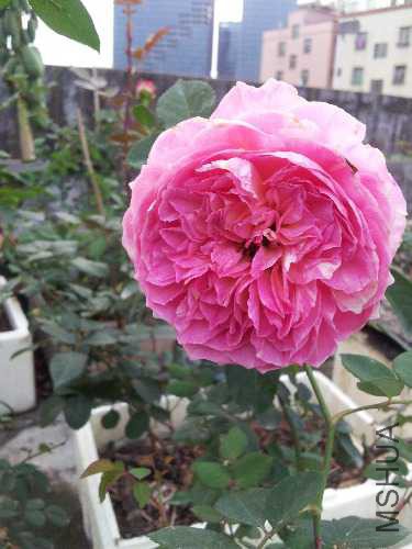 20160104_171219.jpg