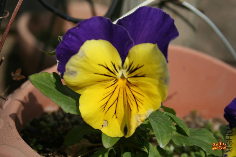 ��Ƭ 022_����.jpg