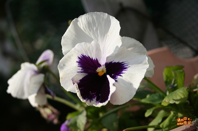 ��Ƭ 023_����.jpg