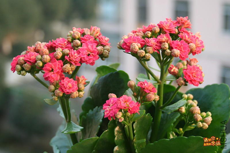 ��Ƭ 011_����.jpg