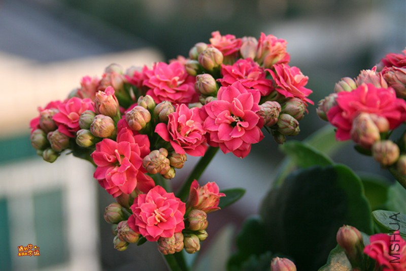 ��Ƭ 013_����.jpg