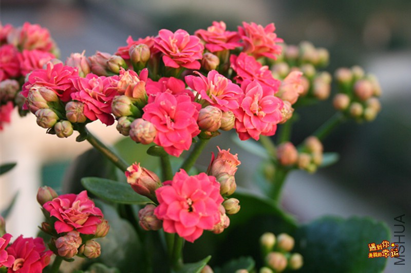 ��Ƭ 014_����.jpg