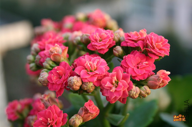 ��Ƭ 017_����.jpg