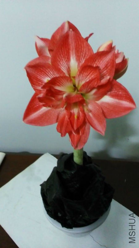 ���Ҳ���ڲ輸���ĵ�