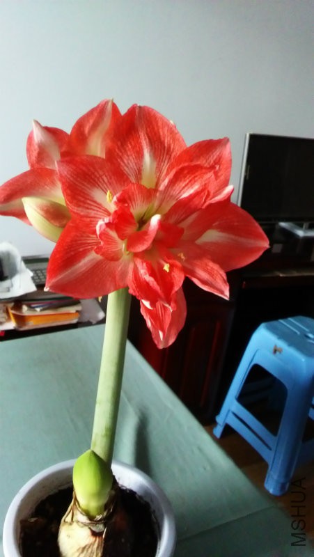 ���������ݵ��������ĵ�