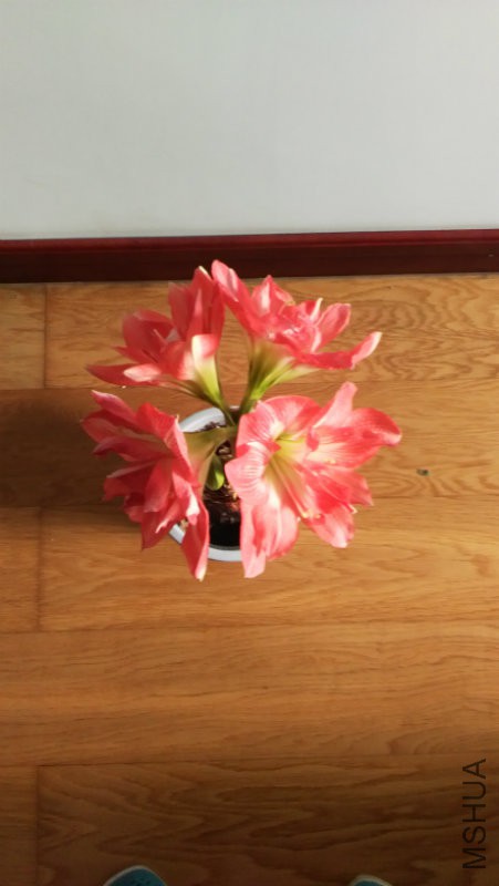 �����ڵذ����ĵ�