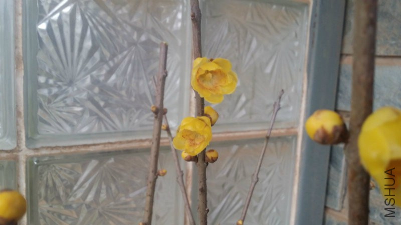 QQ图片20160106124104.jpg