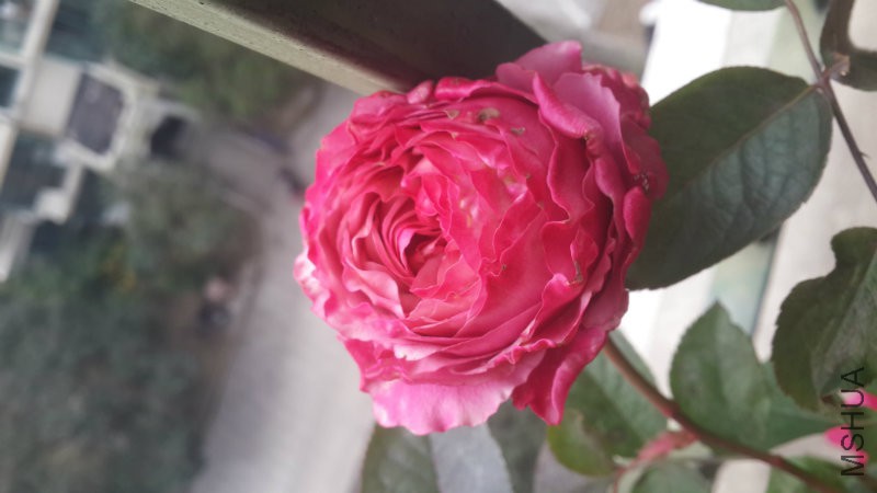 20160107_141830.jpg