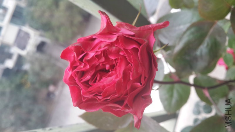 20160107_141837.jpg