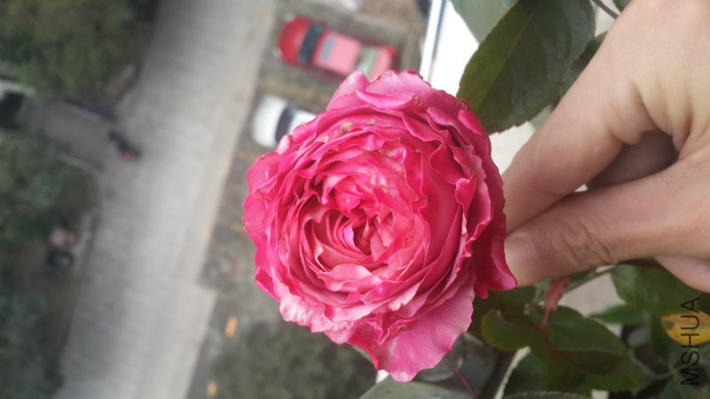 20160107_141848.jpg