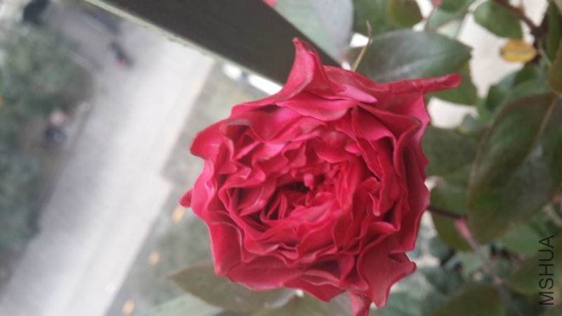 20160107_141902.jpg