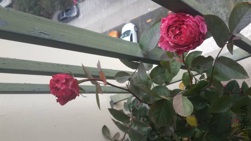 20160107_141923.jpg
