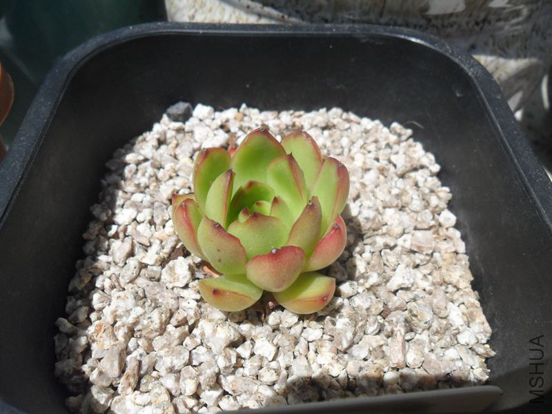 SAM_9713_����.jpg