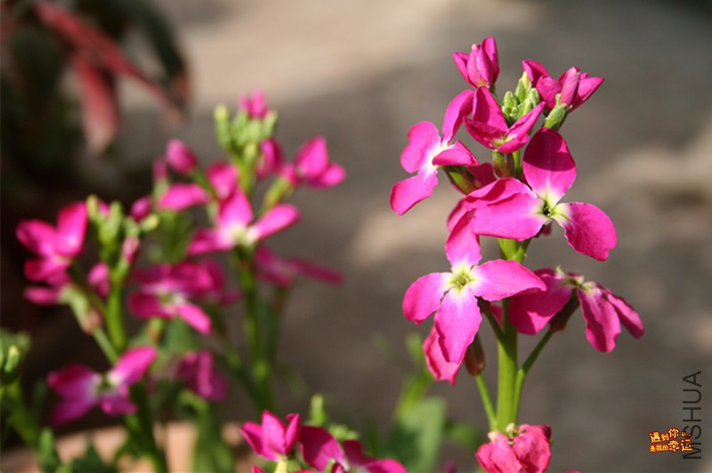 ��Ƭ 047_����.jpg